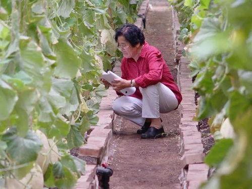 生活中的吃瓜人物,揭秘生活中的“瓜界”风云